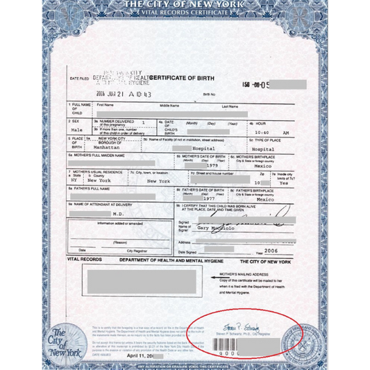 Certificate of Birth Translation